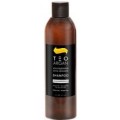 Teotema Szampon Nawilżający Teo Argan 250 ml TEOARGAN