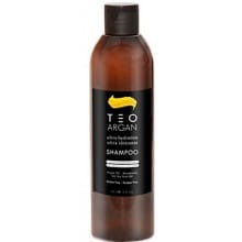 Teotema Szampon Nawilżający Teo Argan 250 ml TEOARGAN