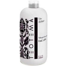 Teotema Cream Developer ( 1,8% 3% 6% 9% 12% ) 1000ml 