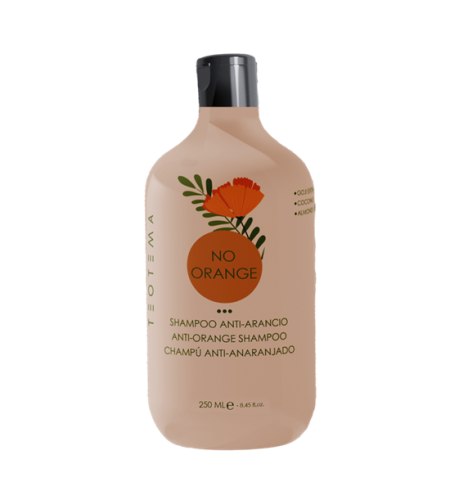 Teotema szampon tonujący No Orange  250ml 