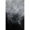 pH LABORATORIES VOLUMISING POWDER PUDER  DO WŁOSÓW ZWIĘKSZAJĄCY OBJĘTOŚĆ 30ML