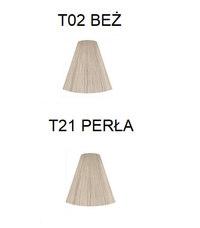 Zrzut ekranu (255).png