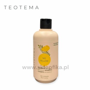 Teotema Szampon Tonujący Silver Specific 250ml 