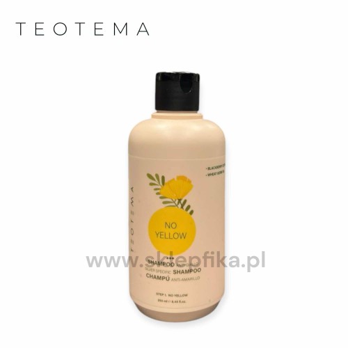Teotema Szampon Tonujący Silver Specific 250ml 