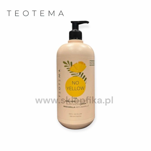 Maska do włosów Teotema Tonująca Silver Specific 1000ml