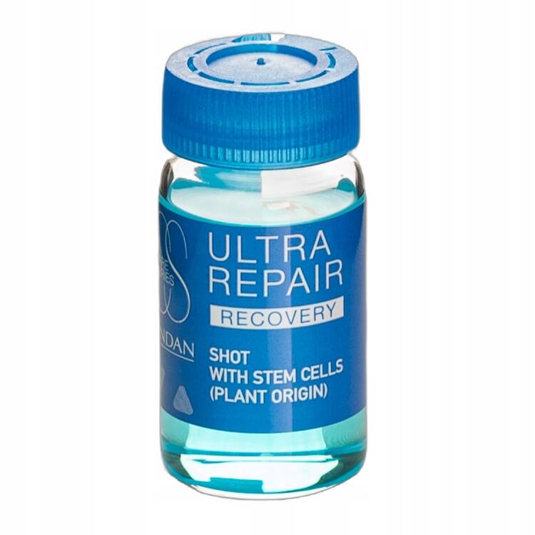pol_pl_Lendan-Ultra-Repair-Recovery-Ampulka-Silnie-Regenerujaca-Wlosy-10ml-71054_1.jpg